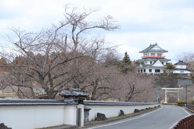 3月25日の大橋からの状況