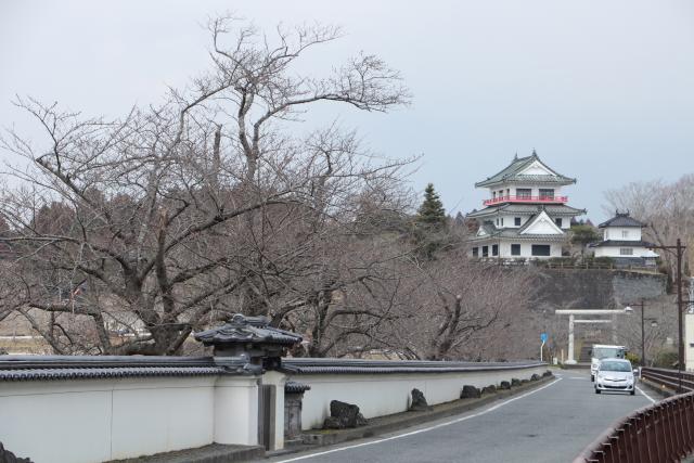 3月28日の大橋からの桜の開花状況