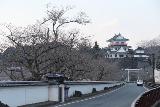 平成29年3月30日の大橋からの桜の開花状況