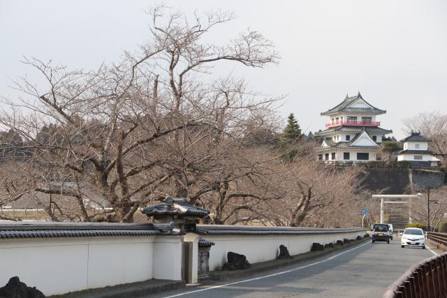 平成29年4月3日の大橋からの桜の開花状況