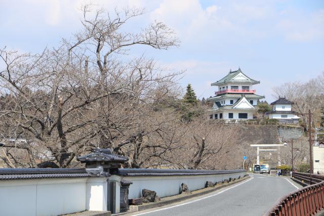 平成29年4月4日の大橋からの桜の開花状況