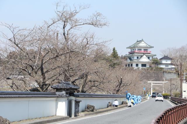 平成29年4月6日の大橋からの桜の開花状況