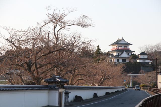 平成29年4月9日の大橋からの桜の開花状況