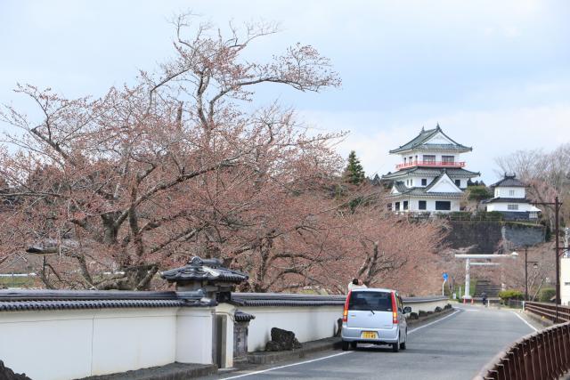 平成29年4月12日大橋からの桜の開花状況