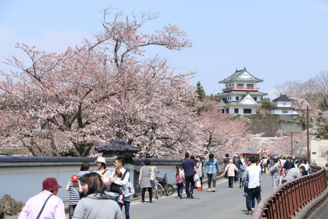 平成29年4月16日の大橋からの桜の開花状況