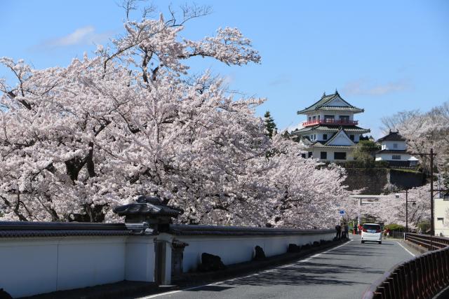 平成29年4月18日の大橋からの桜の開花状況