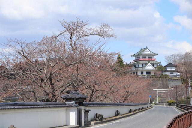 平成31年4月9日の桜の開花状況(回廊)