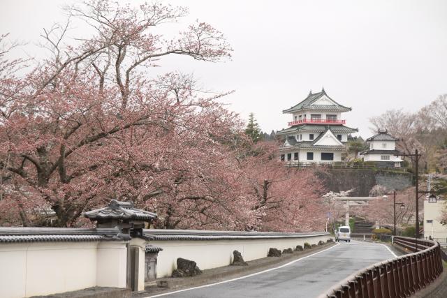 4月10日の桜並木の開花状況