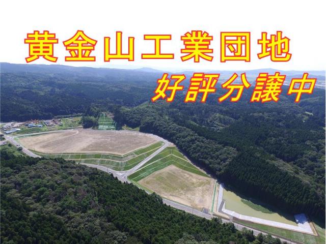 完成写真