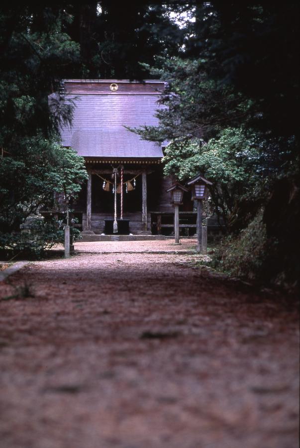 黄金山産金遺跡
