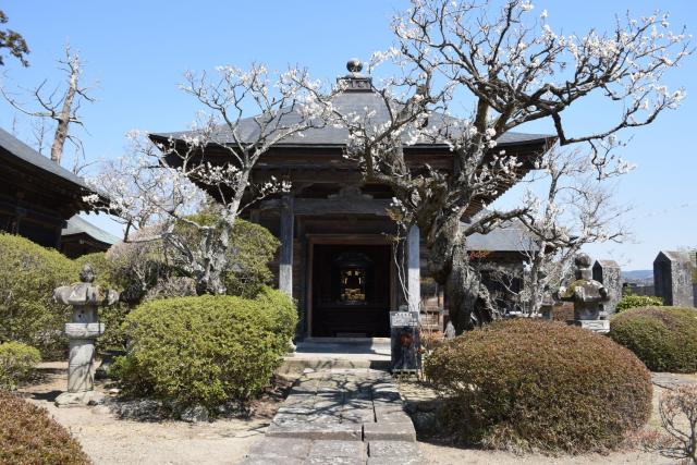 見龍院霊屋