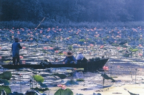 相野沼