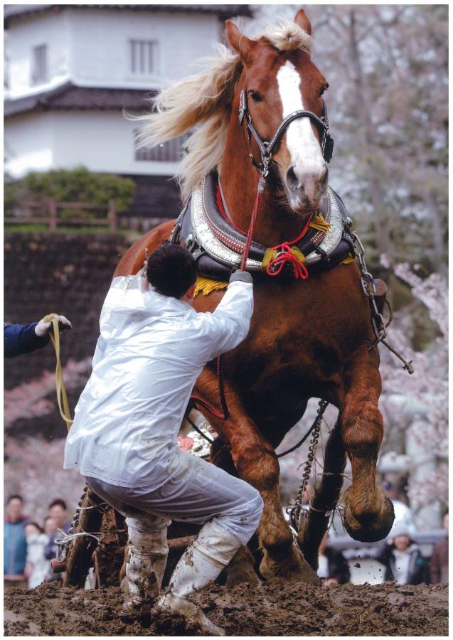 平成28年入選作品3
