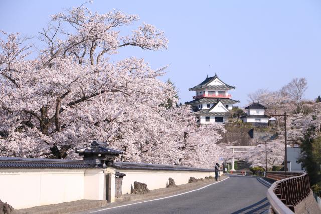 城山公園1