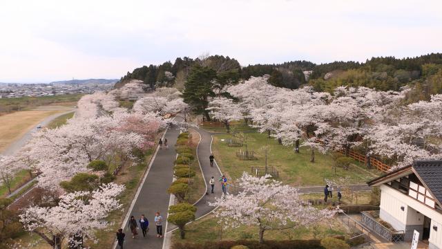 城山公園2