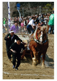 準特選1