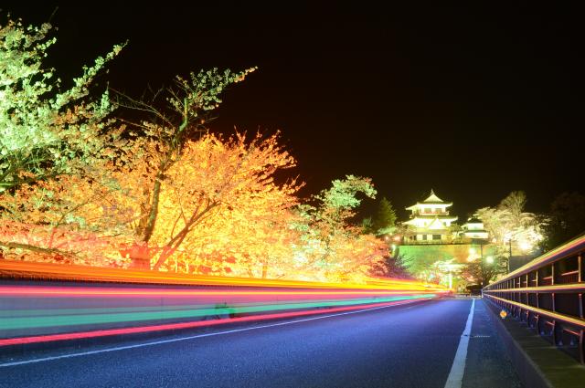 特選夜の桜並木