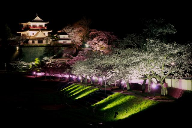 平成28年夜桜2