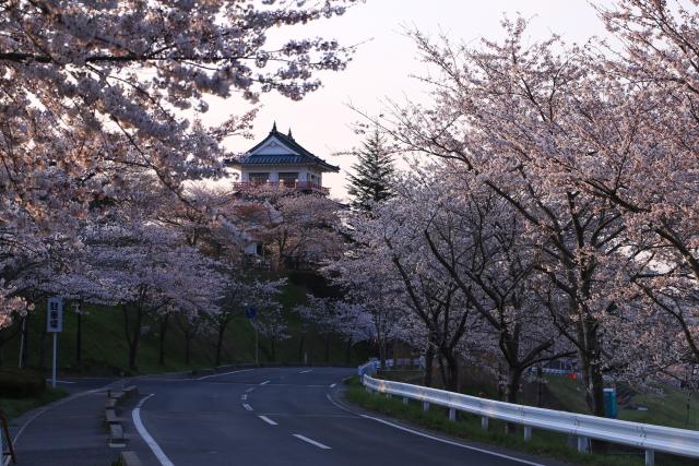 城山公園周辺3