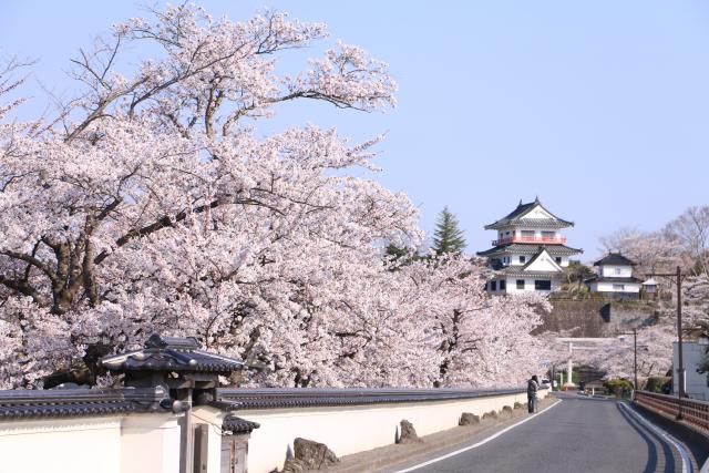 城山公園周辺6