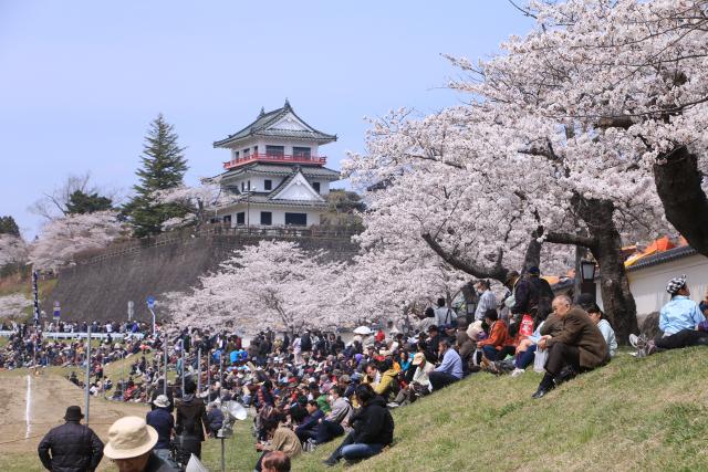 東北輓馬競技大会15