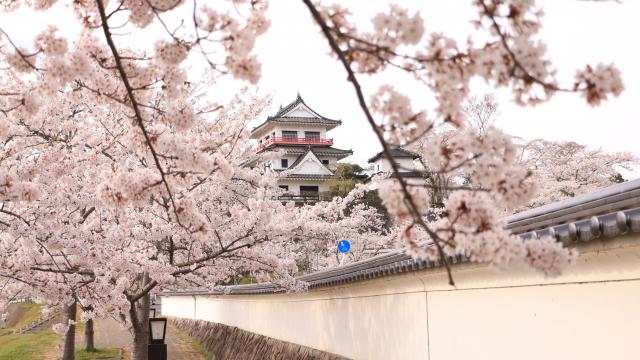 城山公園周辺10