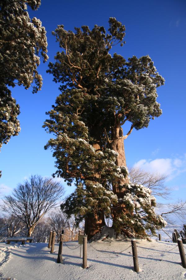 冬の箟峯寺9