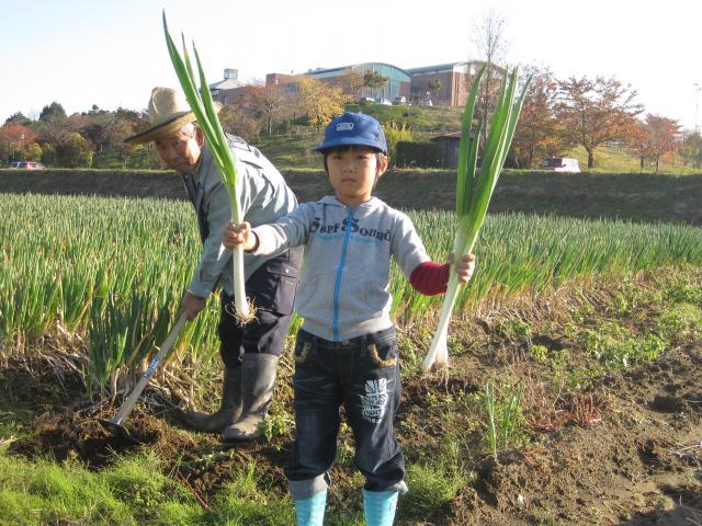 ふれあい農園