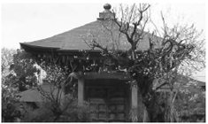 見龍廟