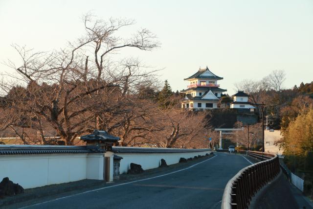 平成28年3月26日桜の開花状況(大橋)