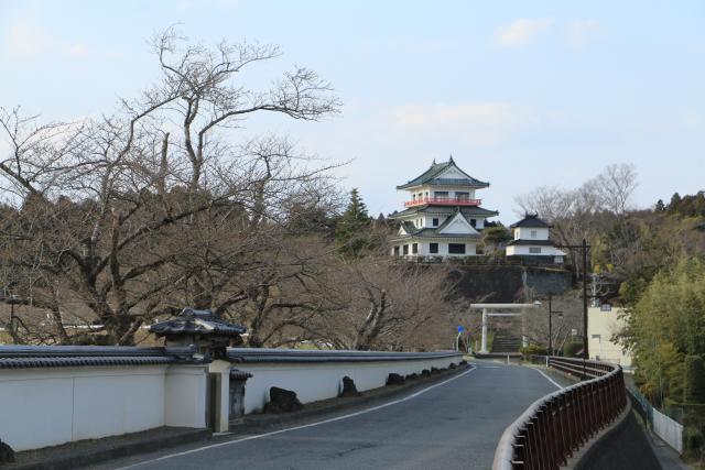 平成28年3月27日桜の開花状況(大橋)