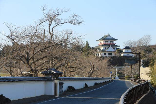 平成28年3月28日の開花状況(大橋)