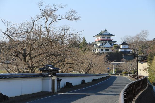 平成28年3月31日桜の開花状況(大橋)