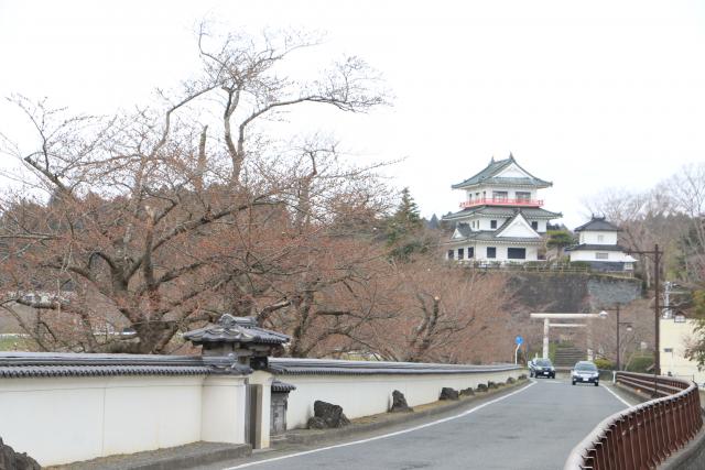 平成28年4月3日桜の開花状況(大橋)