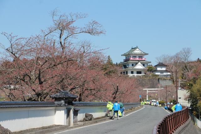 平成28年4月5日大橋