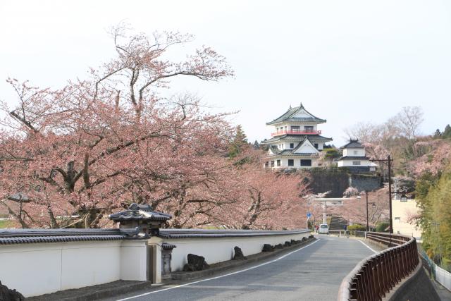 平成28年4月8日大橋