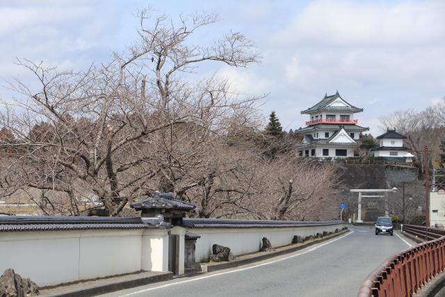 3月26日の大橋からの桜の開花状況