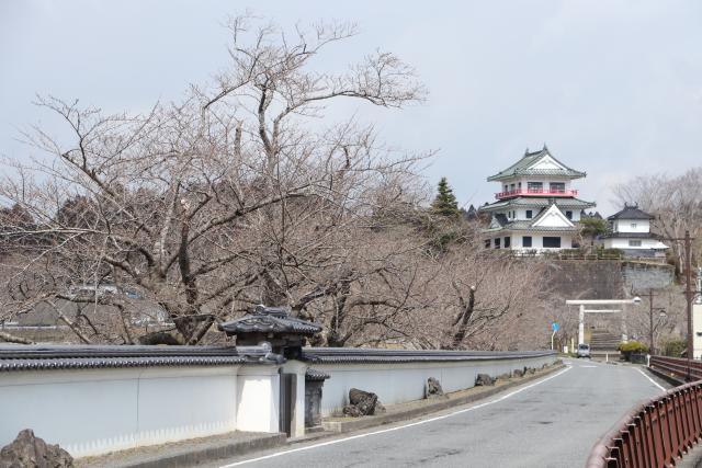 平成29年4月2日の大橋からの桜の開花状況
