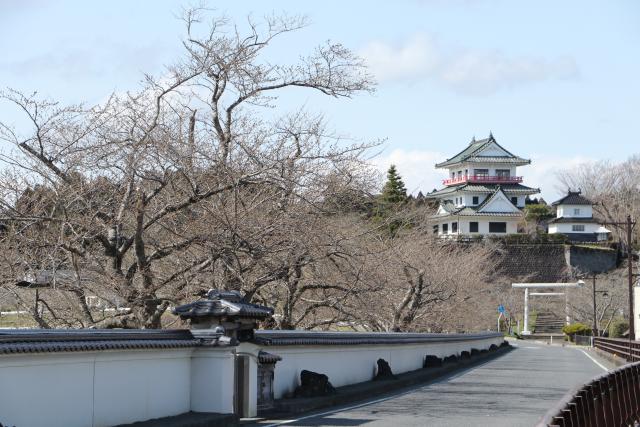 平成29年4月7日の大橋からの桜の開花状況