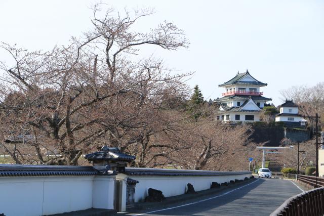 平成29年4月10日の大橋からの桜の開花状況