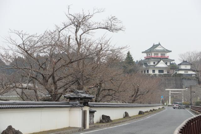 平成30年3月29日の大橋の開花状況