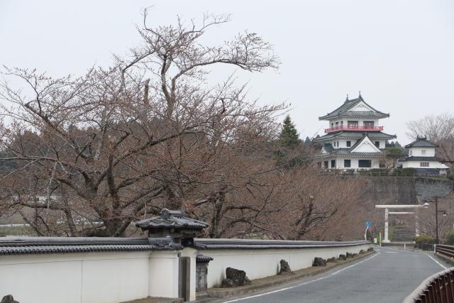 平成30年4月2日の大橋からの開花状況