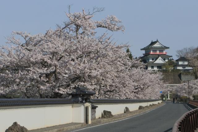 平成30年4月14日の大橋からの開花状況