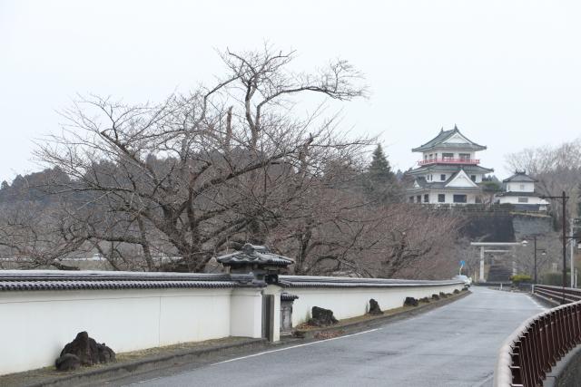 3月21日の回廊の開花状況