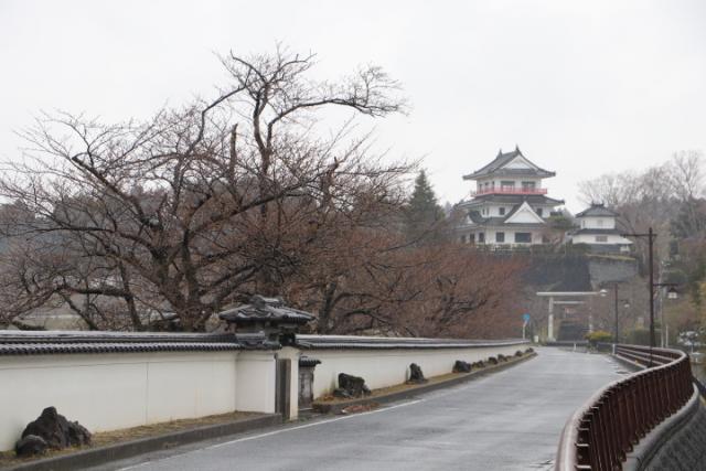 平成31年3月30日桜の開花状況(回廊)