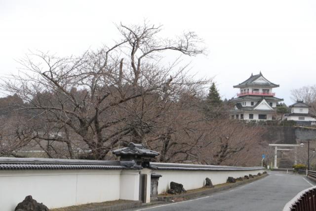 平成31年4月1日(回廊)