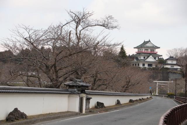 平成31年4月2日(回廊)