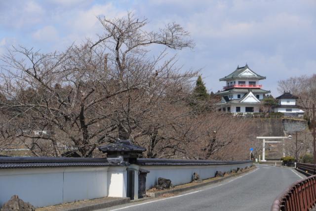 平成31年4月3日(回廊)