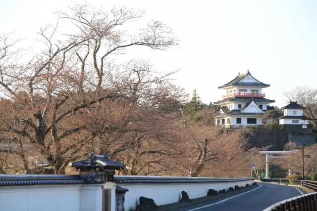 4月4日の桜並木の状況