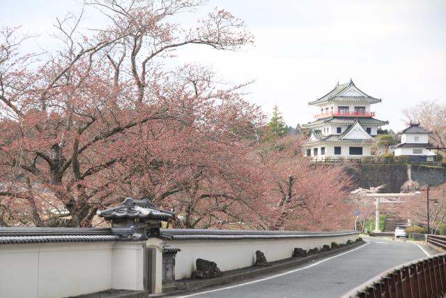 4月7日の桜並木の開花状況